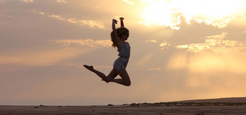 danza web