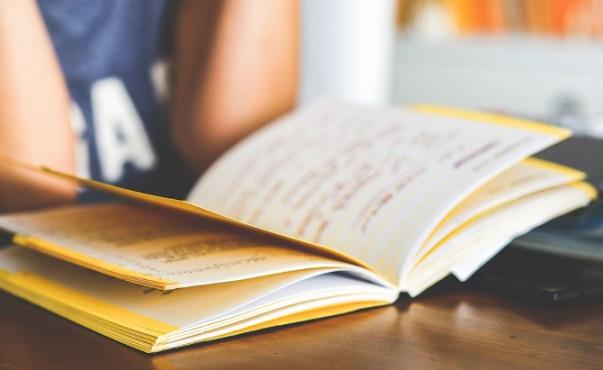 lectura web