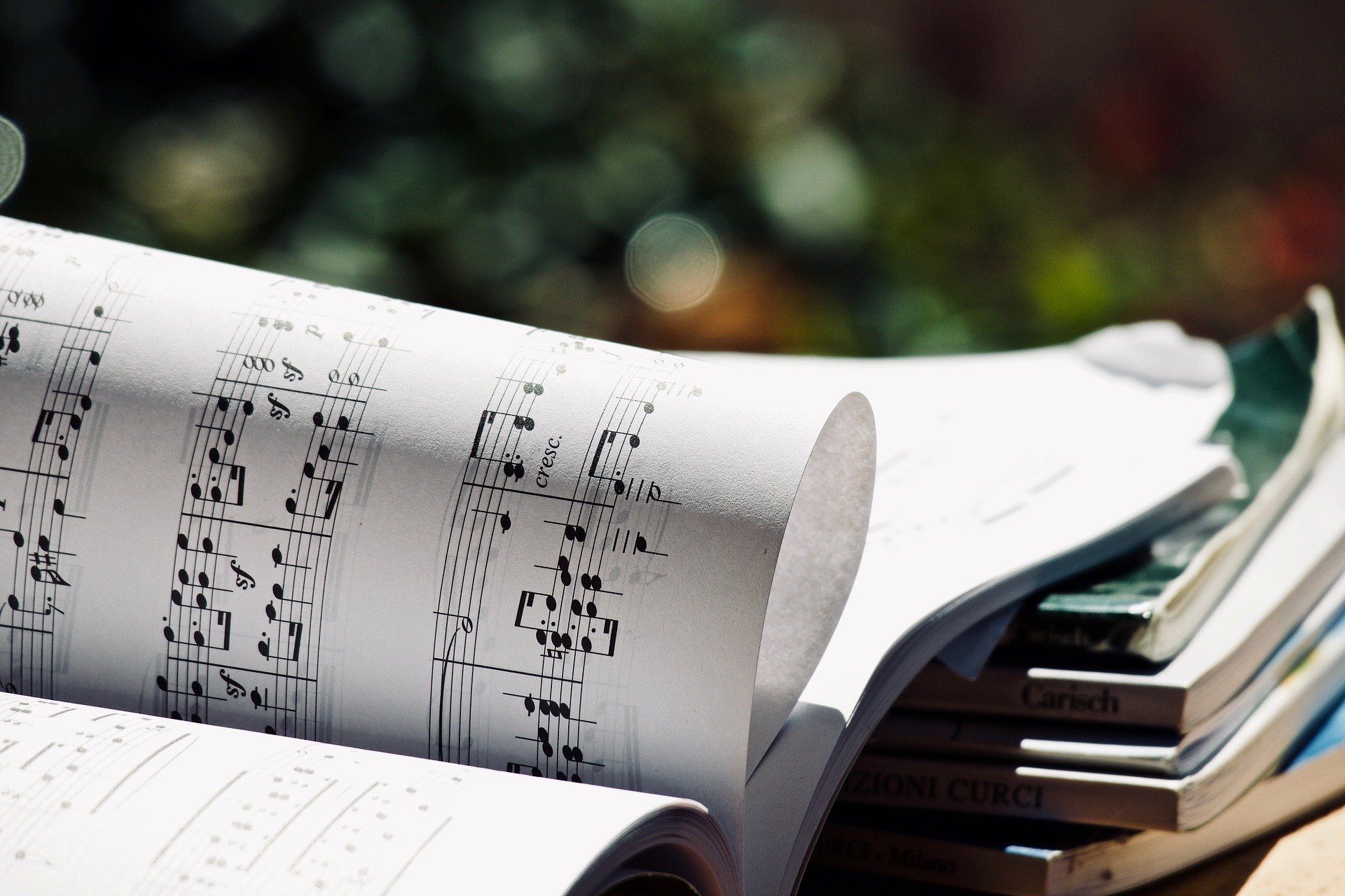 musica web
