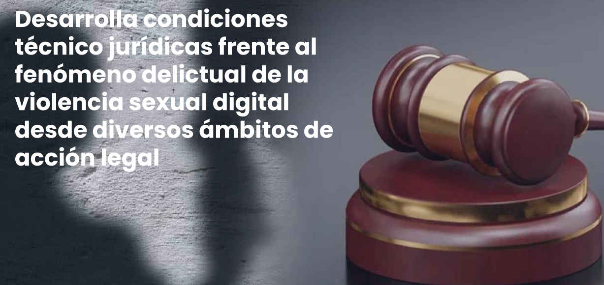 cabecera-diplomado-violencia-sexual-digital