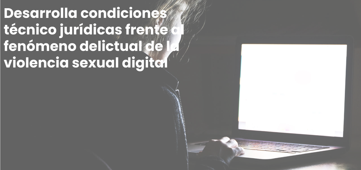 cabecera-diplomado-violencia-sexual-digital-2